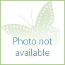 
 
 
 Personal Assistant in Monaco-Ville, , Monaco looking for a job: 3766839